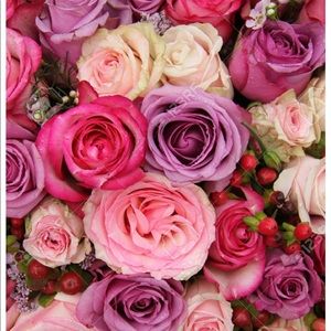 Meet your Posher, Raven